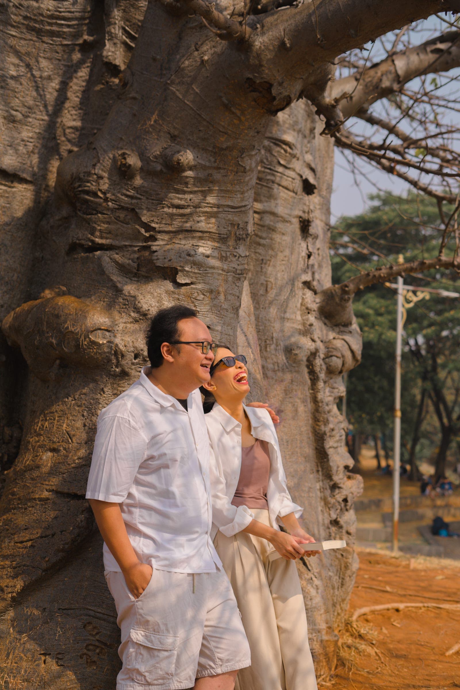 Under the tree of life, Baobab Tree